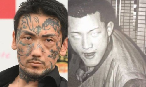 胎风丸的功效网—知名的胎风最新消息网站,分享胎丸药名知识