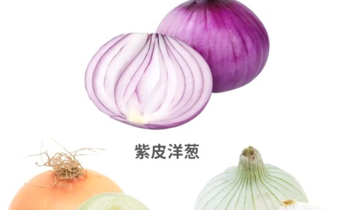 胎风丸的功效网—知名的胎风最新消息网站,分享胎丸药名知识