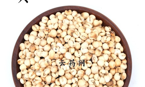 胎风丸的功效网—知名的胎风最新消息网站,分享胎丸药名知识