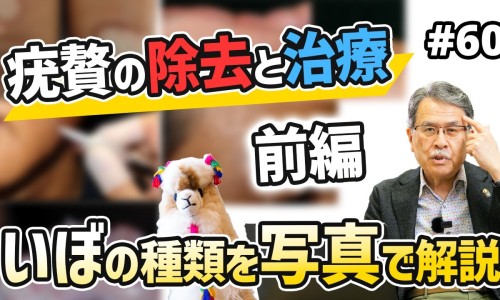 胎风丸的功效与主治-胎风丸的功效网—知名的胎风最新消息网站,分享胎丸药名知识